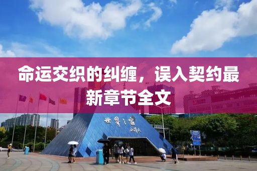 命运交织的纠缠，误入契约最新章节全文