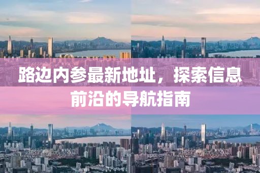 路边内参最新地址，探索信息前沿的导航指南
