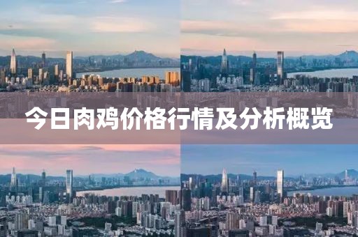 今日肉鸡价格行情及分析概览