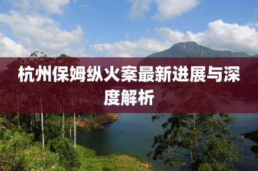 杭州保姆纵火案最新进展与深度解析