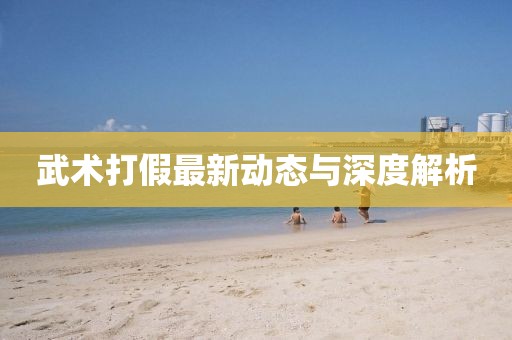 武术打假最新动态与深度解析