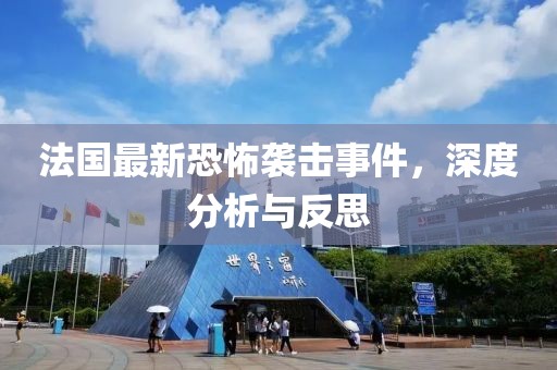法国最新恐怖袭击事件，深度分析与反思