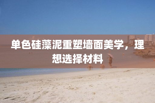 单色硅藻泥重塑墙面美学，理想选择材料