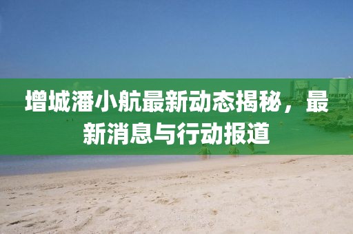 增城潘小航最新动态揭秘，最新消息与行动报道