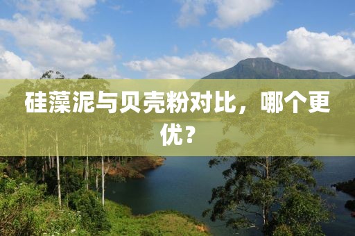 硅藻泥与贝壳粉对比，哪个更优？