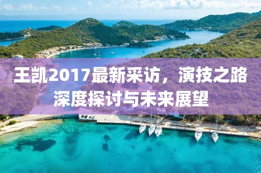 王凯2017最新采访，演技之路深度探讨与未来展望
