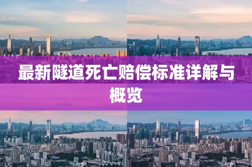 最新隧道死亡赔偿标准详解与概览