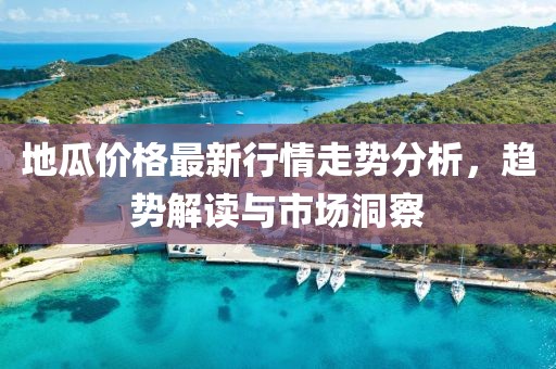 地瓜价格最新行情走势分析，趋势解读与市场洞察