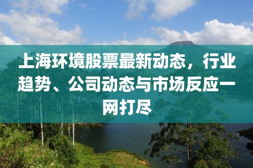 上海环境股票最新动态，行业趋势、公司动态与市场反应一网打尽