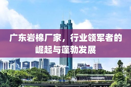 广东岩棉厂家，行业领军者的崛起与蓬勃发展
