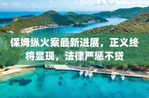 保姆纵火案最新进展，正义终将显现，法律严惩不贷