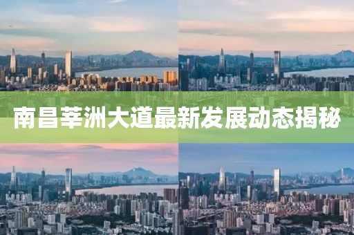 南昌莘洲大道最新发展动态揭秘