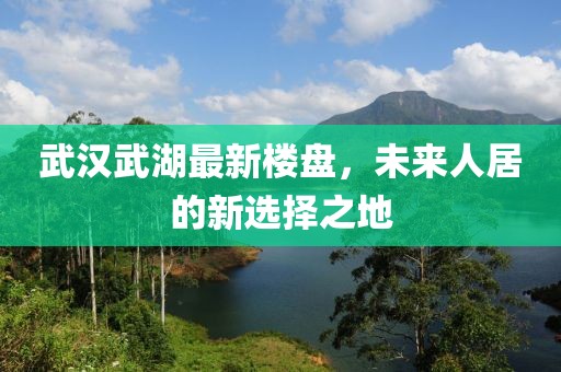 武汉武湖最新楼盘，未来人居的新选择之地