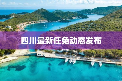 四川最新任免动态发布