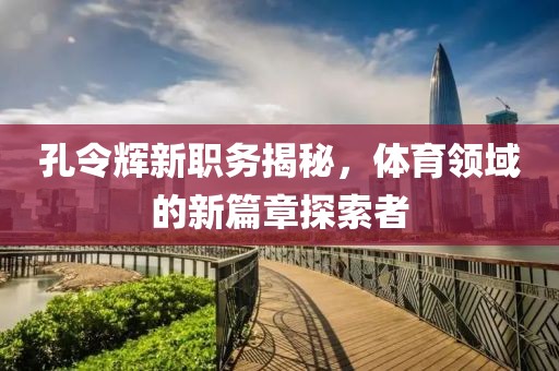 孔令辉新职务揭秘，体育领域的新篇章探索者