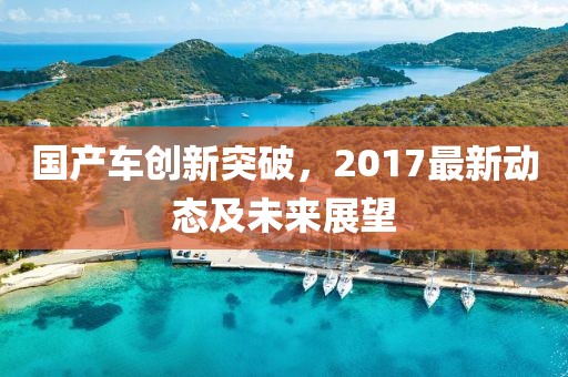 国产车创新突破，2017最新动态及未来展望