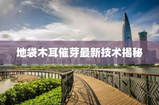 地袋木耳催芽最新技术揭秘