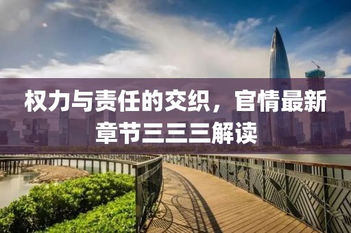 权力与责任的交织，官情最新章节三三三解读