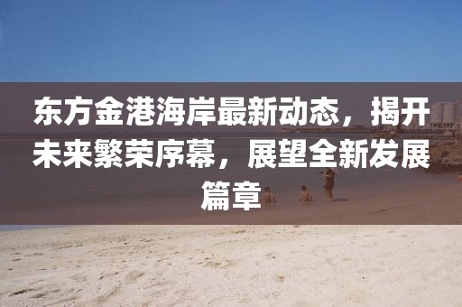 东方金港海岸最新动态，揭开未来繁荣序幕，展望全新发展篇章