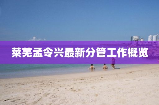 莱芜孟令兴最新分管工作概览
