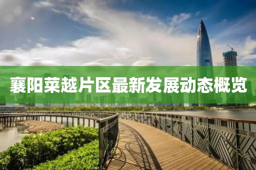 襄阳菜越片区最新发展动态概览