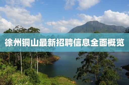 徐州铜山最新招聘信息全面概览