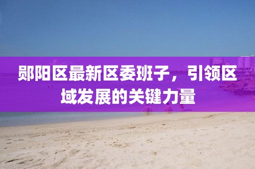 郧阳区最新区委班子，引领区域发展的关键力量