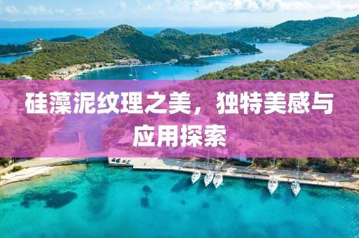 硅藻泥纹理之美，独特美感与应用探索