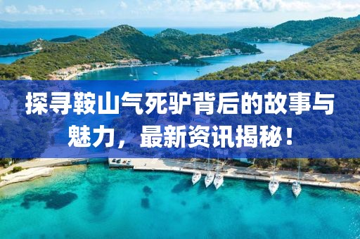 探寻鞍山气死驴背后的故事与魅力，最新资讯揭秘！