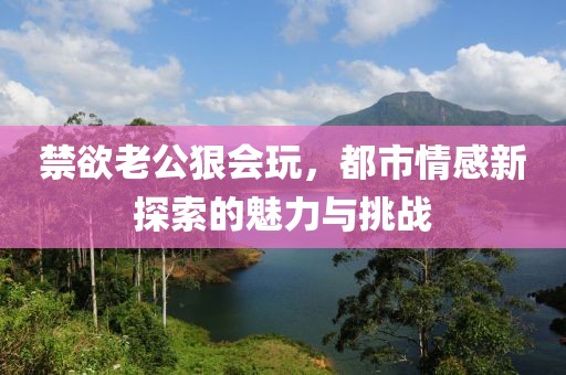 禁欲老公狠会玩，都市情感新探索的魅力与挑战