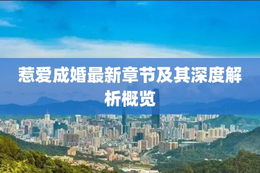惹爱成婚最新章节及其深度解析概览