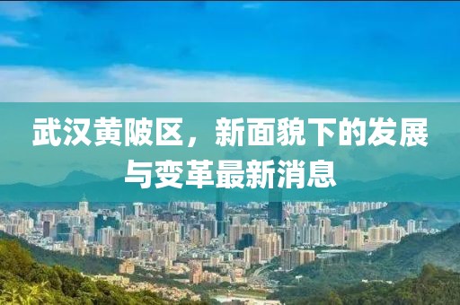 武汉黄陂区，新面貌下的发展与变革最新消息
