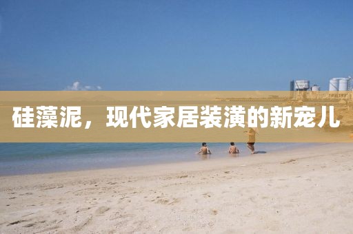 硅藻泥，现代家居装潢的新宠儿