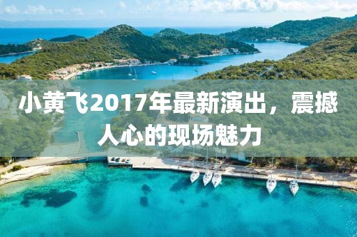 小黄飞2017年最新演出，震撼人心的现场魅力