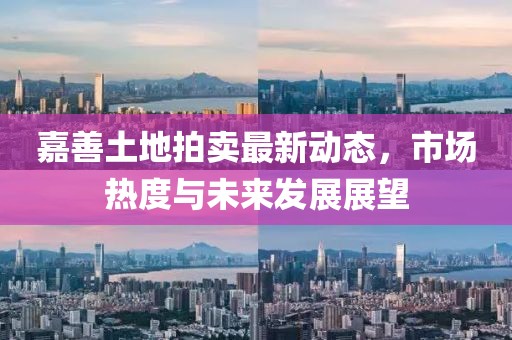 嘉善土地拍卖最新动态，市场热度与未来发展展望