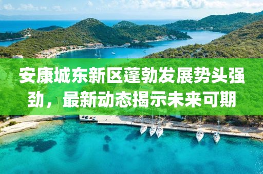 安康城东新区蓬勃发展势头强劲，最新动态揭示未来可期