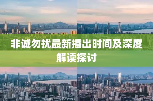 非诚勿扰最新播出时间及深度解读探讨