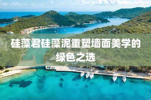 硅藻君硅藻泥重塑墙面美学的绿色之选