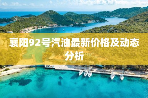襄阳92号汽油最新价格及动态分析