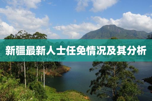 新疆最新人士任免情况及其分析