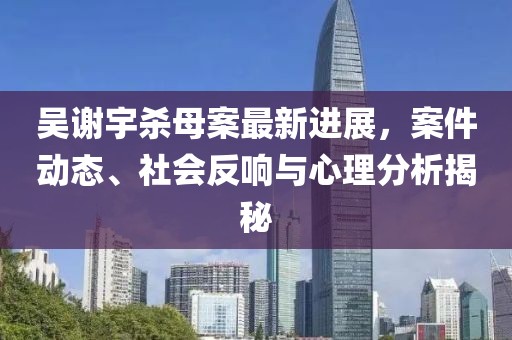 吴谢宇杀母案最新进展，案件动态、社会反响与心理分析揭秘