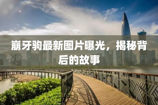 崩牙驹最新图片曝光，揭秘背后的故事