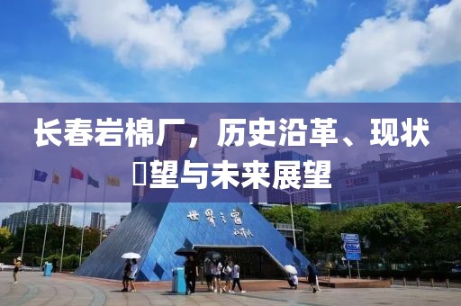长春岩棉厂，历史沿革、现状瞭望与未来展望
