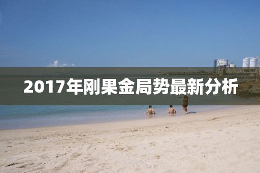 2017年刚果金局势最新分析
