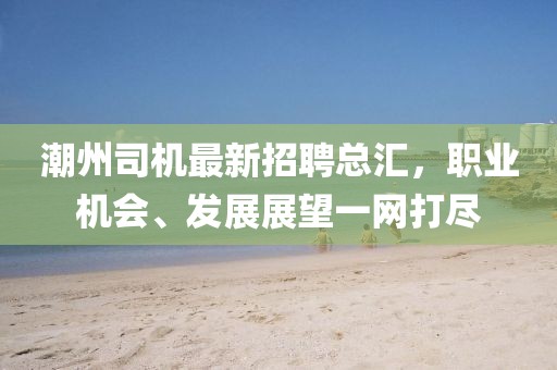 潮州司机最新招聘总汇，职业机会、发展展望一网打尽