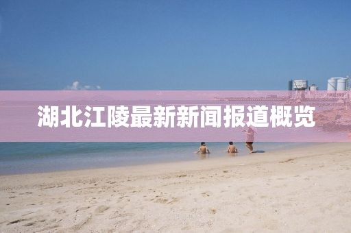 湖北江陵最新新闻报道概览