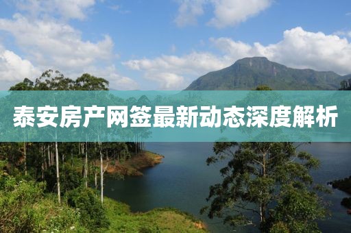 泰安房产网签最新动态深度解析