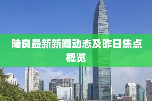 陆良最新新闻动态及昨日焦点概览