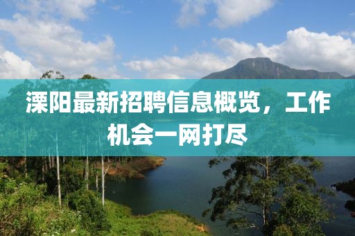溧阳最新招聘信息概览，工作机会一网打尽