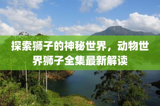 探索狮子的神秘世界，动物世界狮子全集最新解读